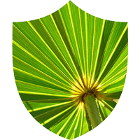 Prosta Defend ingrediant