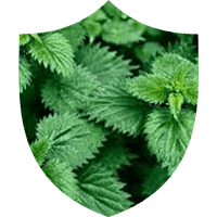 Prosta Defend ingrediant